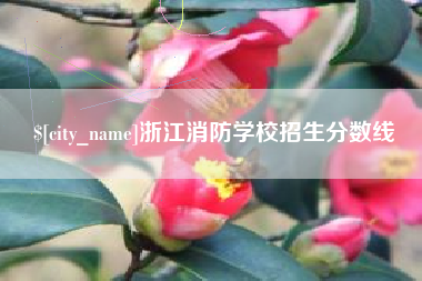 琼海浙江消防学校招生分数线