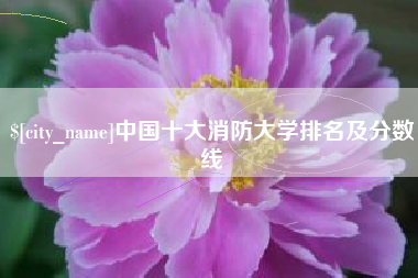 琼海中国十大消防大学排名及分数线