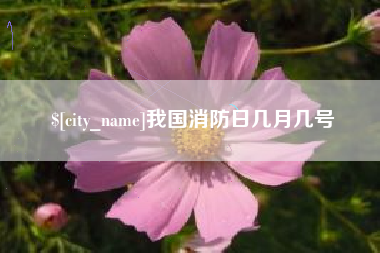 琼海我国消防日几月几号