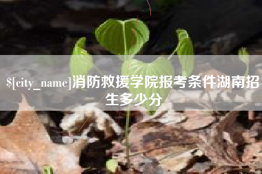 琼海消防救援学院报考条件湖南招生多少分