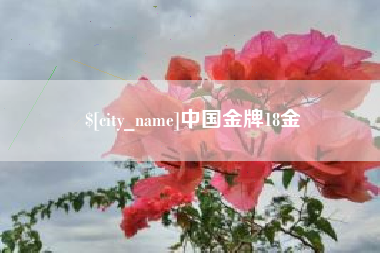 琼海中国金牌18金