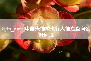 琼海中国失信被执行人信息查询公开网址