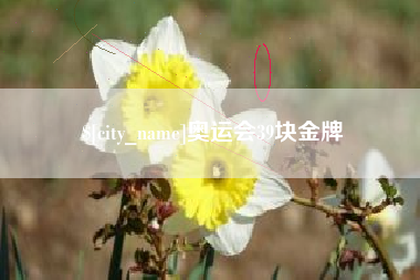 琼海奥运会39块金牌