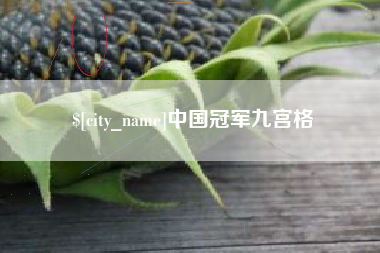 琼海中国冠军九宫格