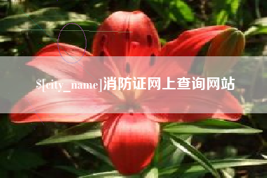 琼海消防证网上查询网站
