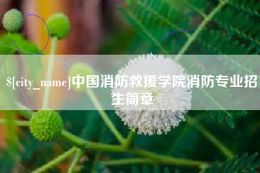 琼海中国消防救援学院消防专业招生简章