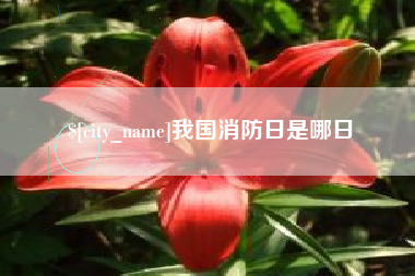 琼海我国消防日是哪日