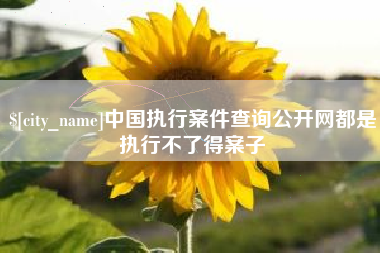 琼海中国执行案件查询公开网都是执行不了得案子