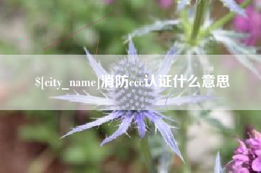 琼海消防ccc认证什么意思