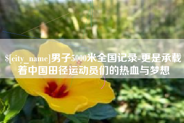 琼海男子5000米全国记录-更是承载着中国田径运动员们的热血与梦想