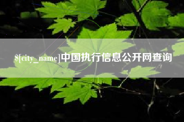 琼海中国执行信息公开网查询