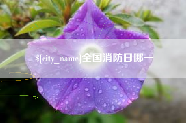 琼海全国消防日哪一