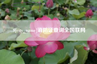琼海消防证查询全国联网