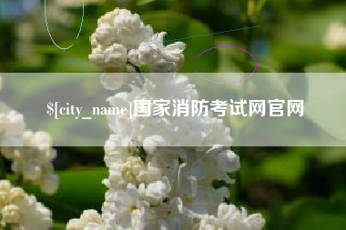琼海国家消防考试网官网