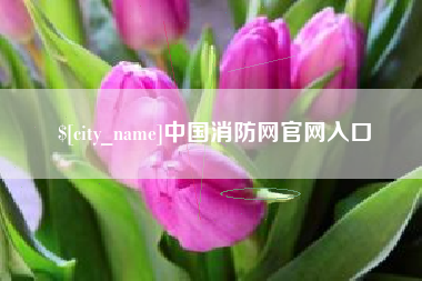 琼海中国消防网官网入口