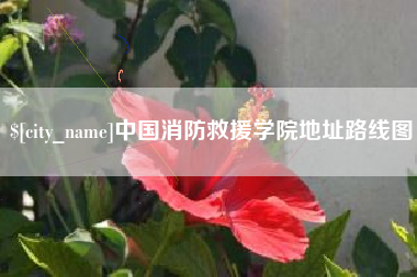 琼海中国消防救援学院地址路线图