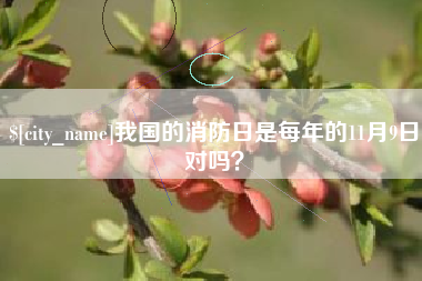 琼海我国的消防日是每年的11月9日对吗？
