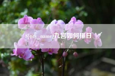 琼海九宫如何排日