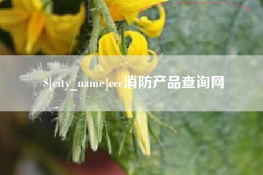 琼海ccc消防产品查询网