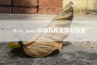 琼海中国九枚金牌分别是
