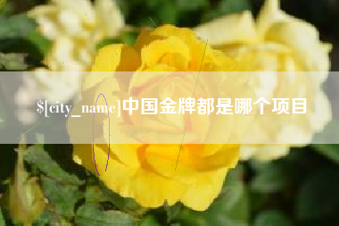 琼海中国金牌都是哪个项目