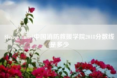 琼海中国消防救援学院2018分数线是多少