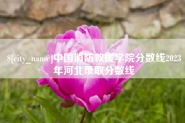 琼海中国消防救援学院分数线2023年河北录取分数线