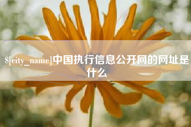 琼海中国执行信息公开网的网址是什么