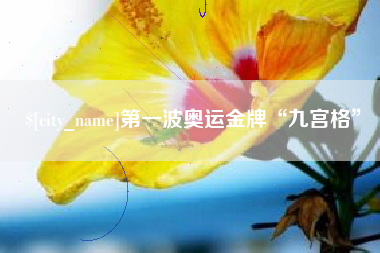 琼海第一波奥运金牌“九宫格”
