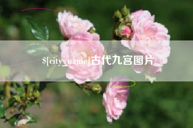 琼海古代九宫图片