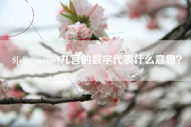 琼海九宫的数字代表什么意思？
