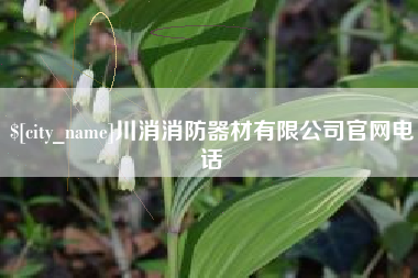 琼海川消消防器材有限公司官网电话