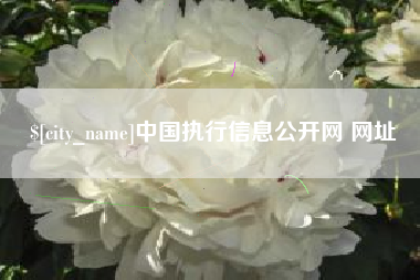 琼海中国执行信息公开网 网址