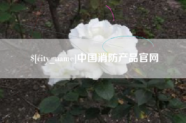 琼海中国消防产品官网