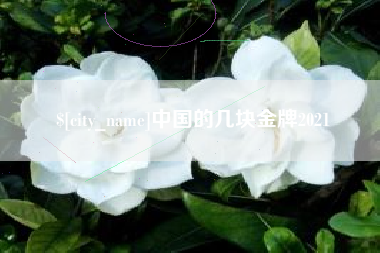琼海中国的几块金牌2021