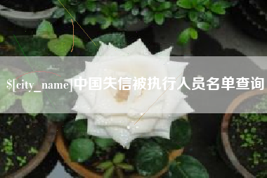 琼海中国失信被执行人员名单查询