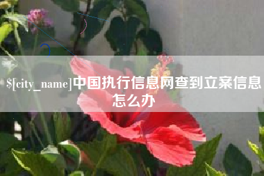 琼海中国执行信息网查到立案信息怎么办