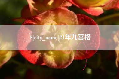 琼海21年九宫格