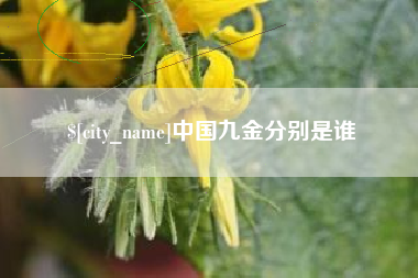 琼海中国九金分别是谁