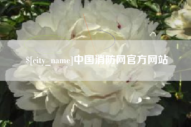 琼海中国消防网官方网站
