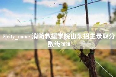 琼海消防救援学院山东招生录取分数线2020