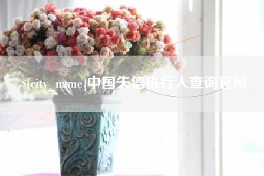 琼海中国失信执行人查询官网