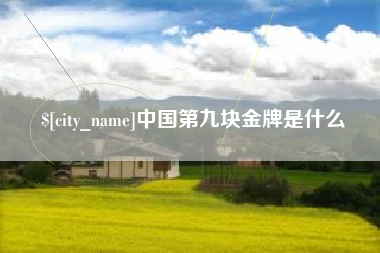 琼海中国第九块金牌是什么