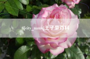 琼海王子豪百科
