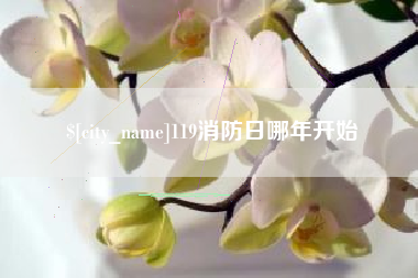 琼海119消防日哪年开始