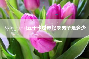 琼海五千米世界纪录男子是多少