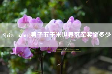 琼海男子五千米世界冠军奖金多少