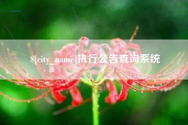 琼海执行公告查询系统