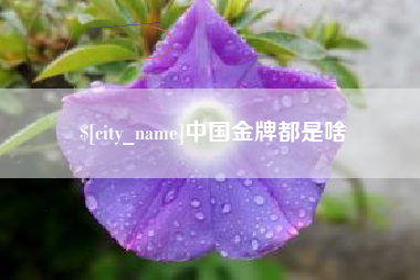 琼海中国金牌都是啥