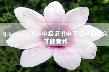 琼海消防中级证书电子版查询多久才能查到